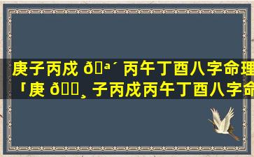 庚子丙戍 🪴 丙午丁酉八字命理「庚 🕸 子丙戍丙午丁酉八字命理解析」